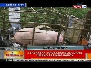 BT: 3 sasakyan, nagkarambola dahil umano sa isang baboy