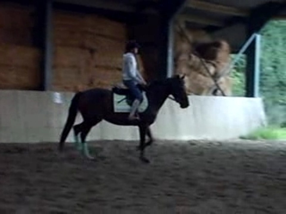 pirouette au trot avec moi