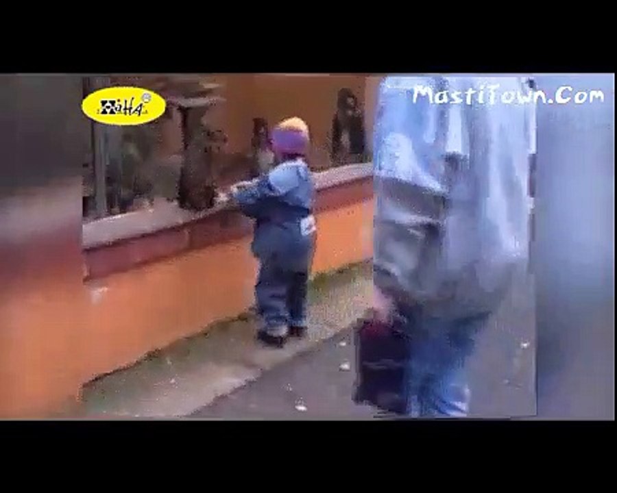 Funny Girls vs Funny Animals