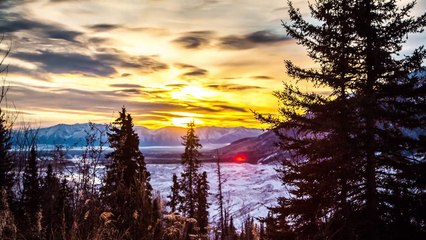 Hollis Brown - Don't Want to Miss You