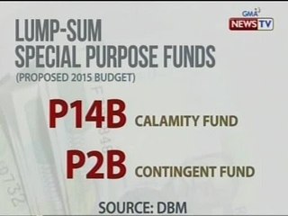 SONA: "Lump sum" sa 2015 proposed budget, ikinababahala ng isang policy research group