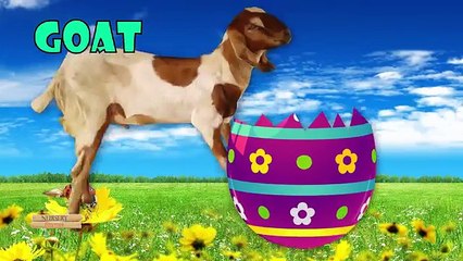 Easter Eggs Farm Animals Names | Dinosaur vs Captain america | Superheroes Finger family 3D Rhymes