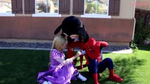 Princess Rapunzel Turns Into Superheroes! w/ Spiderman, The Witch, Venom & Paw Patrol Chase IRL