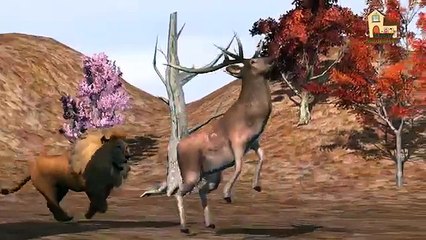 Finger family nursery 3d animals English rhymes for preschoolers