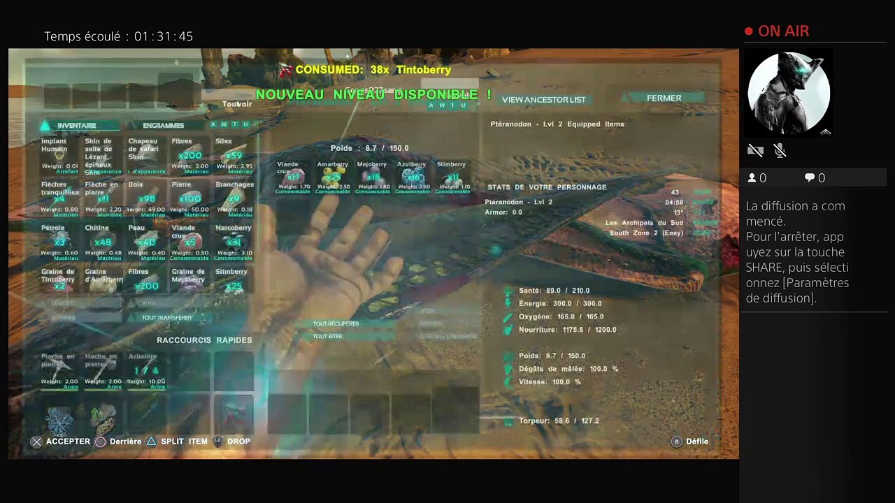 Diffusion PS4 en direct de Senas927sang (10)