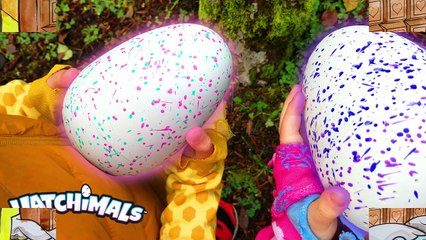 Puppy Coloring Page for Kids to Learn to Color and Paint and Learn Colors