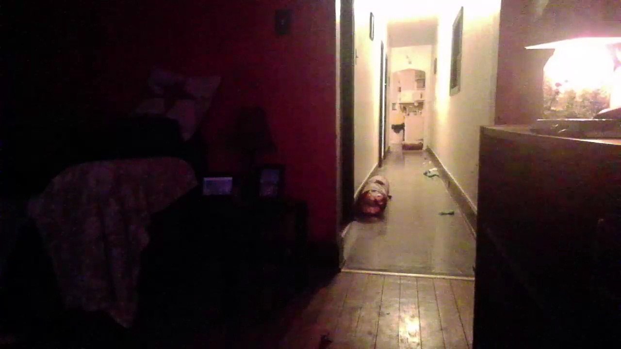 Cat cam returns! (40)
