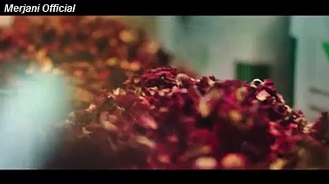 Tu Hai Sanam -RAEES (2017) Full Song | Arijit Singh| Shahrukh Khan Mahira Khan