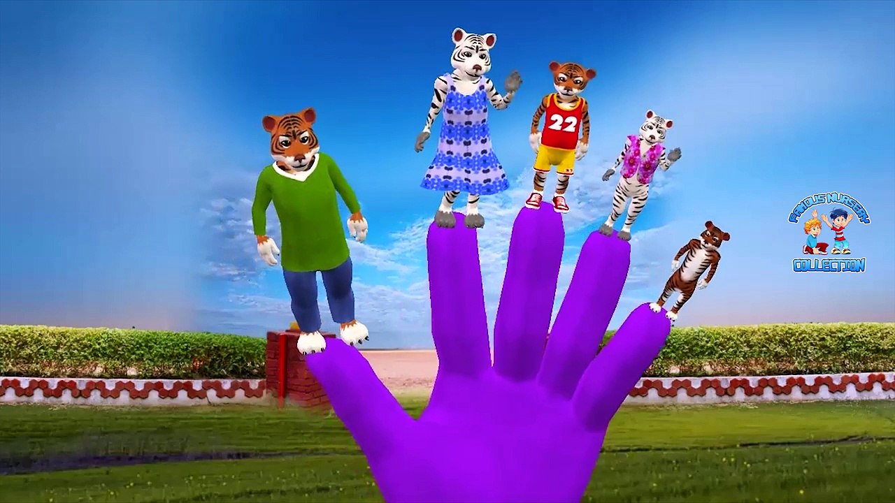 Tiger Finger Family   Daddy Finger Family Rhymes For Kids   Preschool Learning Rhymes For Children
