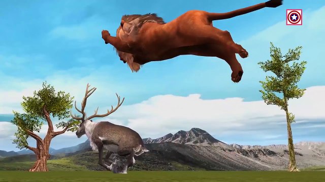 Wild Animal Attacks Compilation | Lion Vs Stag | Cartoon Animal Fighting Videos