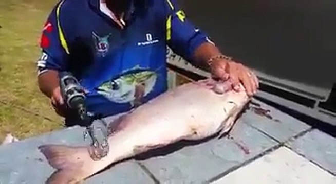 Balık Pulu Ayıklama, Balık Avlama, Balık Avı, Olta İle Balık Avı