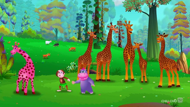 Finger Family Giraffe | ChuChu TV Animal Finger Family Nursery Rhymes Songs For Children
