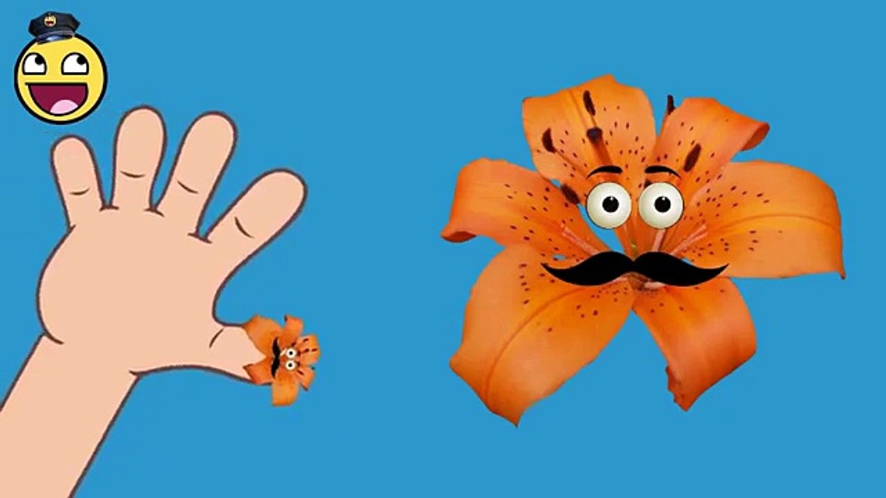 Family Finger | Lilly Finger Family | English Nursery Rhymes