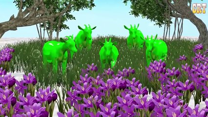 Colourfull Crazy Gorilla Colour Song || Learning Nursery Rhymes For Children Rhymes Collection