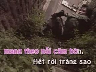 loi ke dang trinh - che linh,Tuan vu