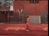 Shaolin Sims ecole kung fu