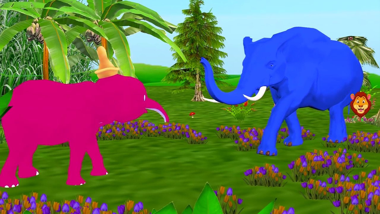Lion Finger Family | Gorilla, Dinosaurs, Elephant, Tiger & More Animals Finger Family Nursery Rhymes