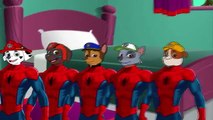 Five Little Paw Patrol Spiderman Jumping on the Bed - 5 Little Monkeys Jumping On The Bed