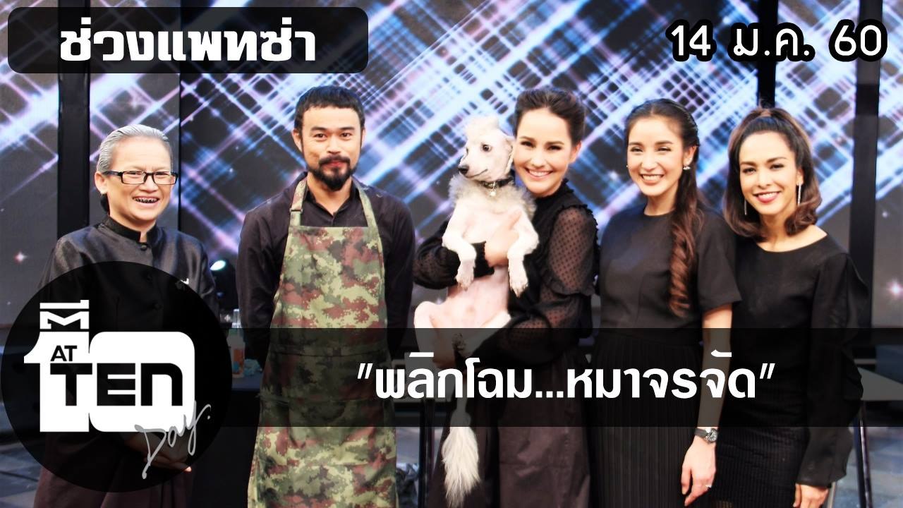 ตีสิบเดย์ (14 ม.ค. 60)  แพทซ่าพลิกโฉม...หมาจรจัด