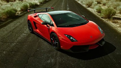 Pure Rally Trading Standards | Pure Rally Review