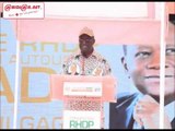 Investiture du candidat du RHDP: lecture de la résolution finale par Maurice Kacou Guikahué