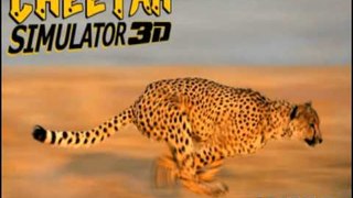 Wildlife Cheetah Attack Simulator 3D: Chase The Wild Animals: iOS Gameplay