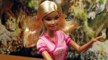 Mattel - Barbie I Can Be / Bądź kim chcesz - Team Barbie Soccer Champion Doll / Piłkarka