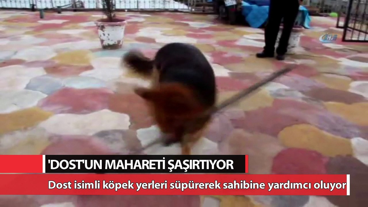 'Dost'un mahareti görenleri şaşırtıyor