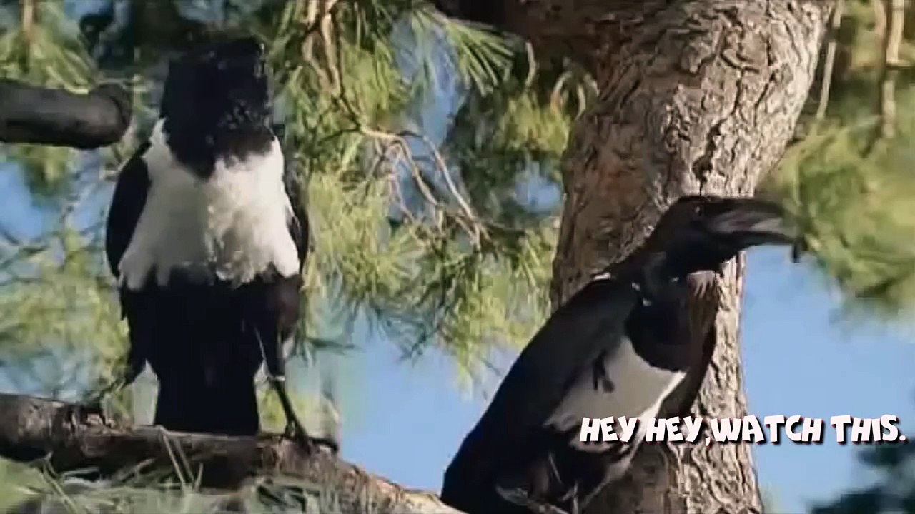 ТЕСТ НА ПСИХИКУ CHALLENGE НЕ ДЕТСКИЕ ПРИКОЛЫ 2016 ЛУЧШИЕ №274