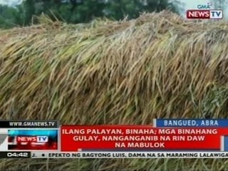 NTVL: Ilang palayan, binaha; mga binahang gulay, nanganganib na rin na mabulok