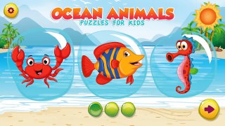 Puzzles for kids - Ocean Animals - Puzzles Games for Kids   Video Games for Kids full HD