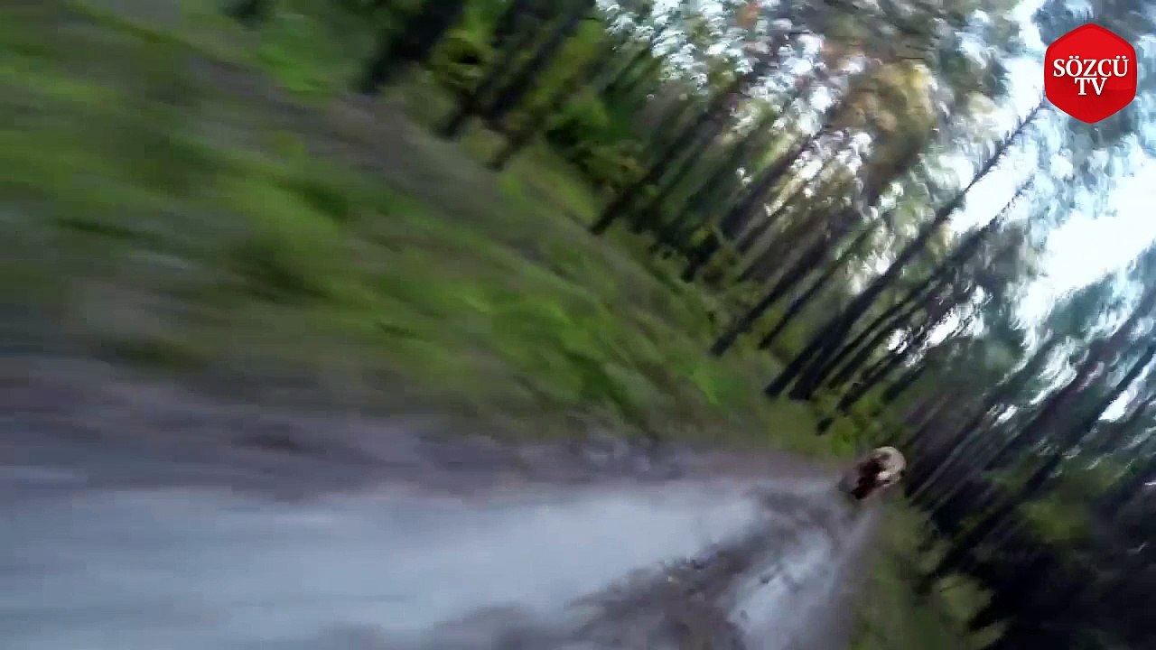 Sosyal medya ikiye ayrıldı! Gerçek mi sahte mi?