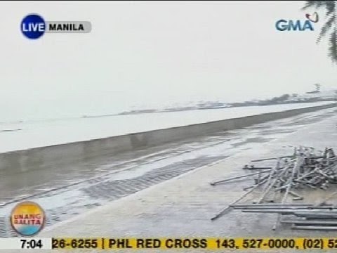 UB: Ilang maliliit na sanga sa Baywalk, bumagsak na dahil sa hangin at ulan