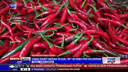Di Tegal, Cabai Dijual Hingga Rp 120 Ribu