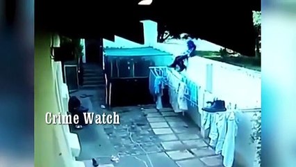 Intruder is attacked by two angry Bull Terriers after scaling wall