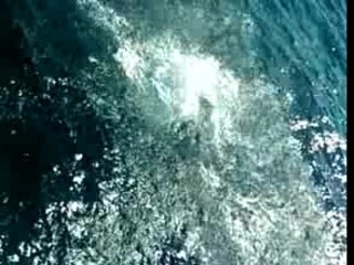 le plongeur d'acapulco