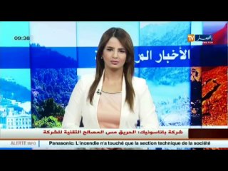 صور للحلة البيضاء التي كست مختلف ولايات الوطن