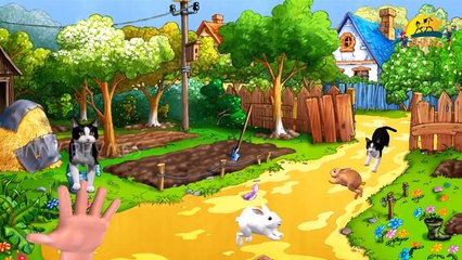 Countryside animals finger family songs | 3d animated English Nursery kids rhymes