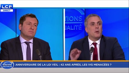Pour une constitutionalisation du droit à l'IVG (LCP - Questions d'actualité, 17 janvier 2017)