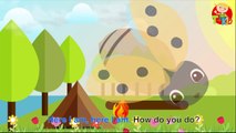 Finger Family Song Bug Collection Characters for childrens Nursery Rhyme Songs #Nursery Lyrics more