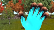 Top 3D Animated Bear Finger Family Rhymes | Bear Finger Family Rhymes For Children