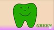 Learning Colors With Funny Cartoon Teeth Coloring Page | Learning Colors for Children Kids Babies