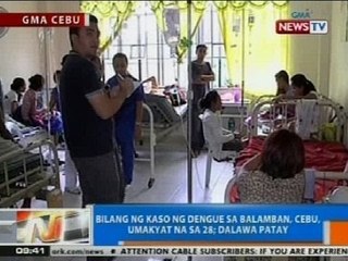 NTG: Bilang ng kaso ng dengue sa Balamban, Cebu, umakyat na sa 28; 2 patay