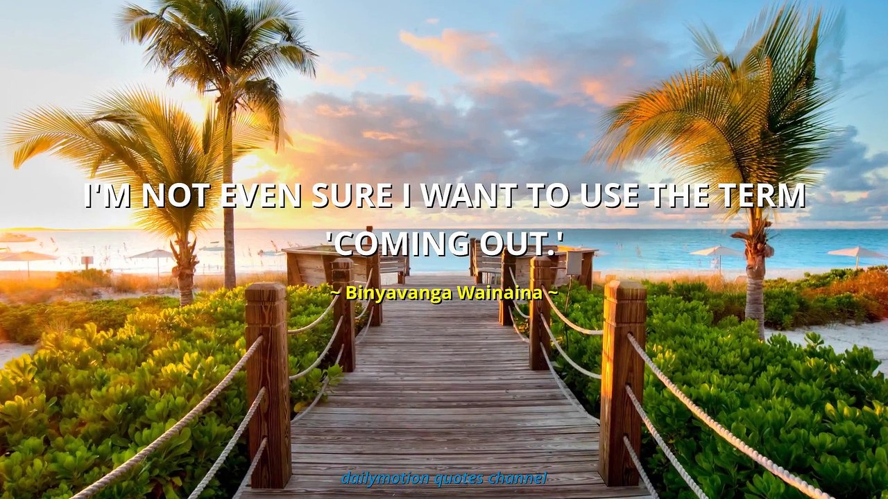 Binyavanga Wainaina Quotes