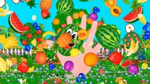 Learn colors for Children with Finger Family Song . Five Little Fruits Nursery Rhymes for Kids.