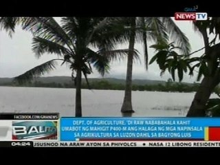 Lampas P400-M halaga ng agrikultura, napinsala ng Bagyong Luis