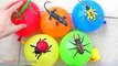 Finger Family Insects Water Wet Balloons Learn Colors Nursery Rhymes Songs for Babies EggVideos.com