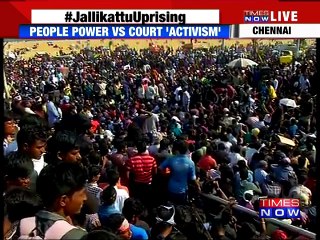 Cr Saraswathi, Spokesperson Of AIADMK Strongly Speaks In Favor Of Getting Jallikattu Back