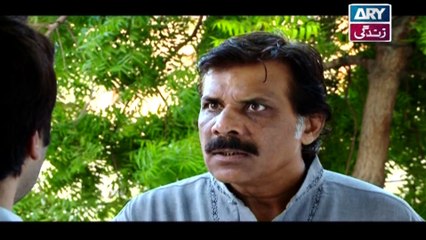 Mein Chand Si Episode - 09 - on ARY Zindagi in High Quality 18th January 2017