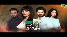 Kuch Na Kaho Episode 24 Promo HD HUM TV Drama 17 January 2017